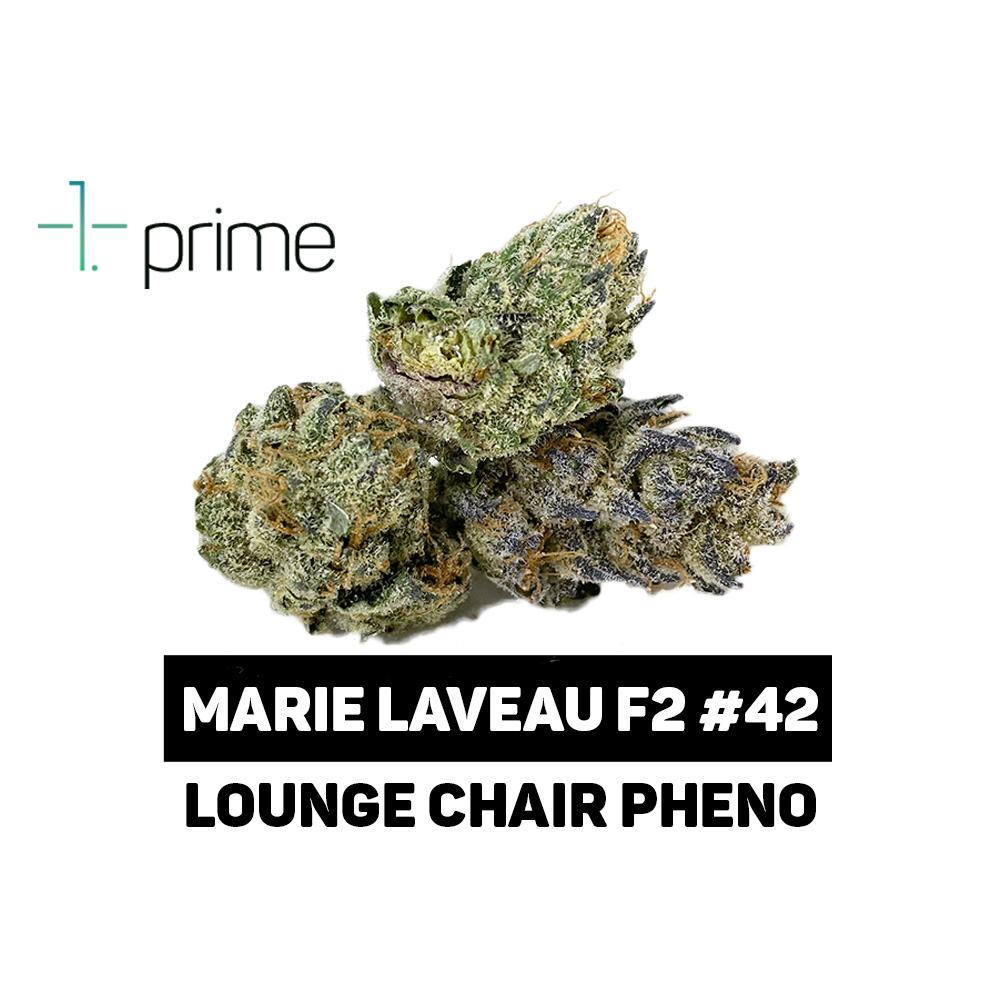 Marie Laveau F2 #42 Product Image