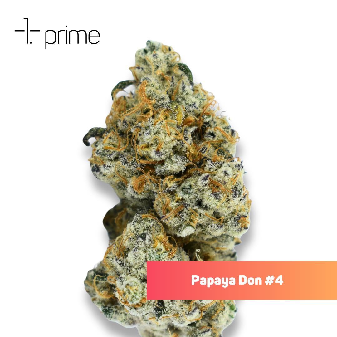 Papaya Don #4 Product Image