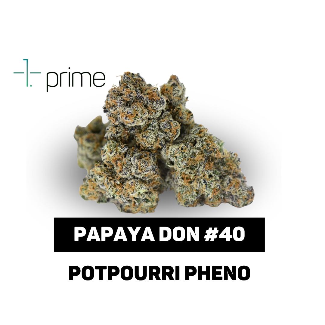 Papaya Don #40 Product Image