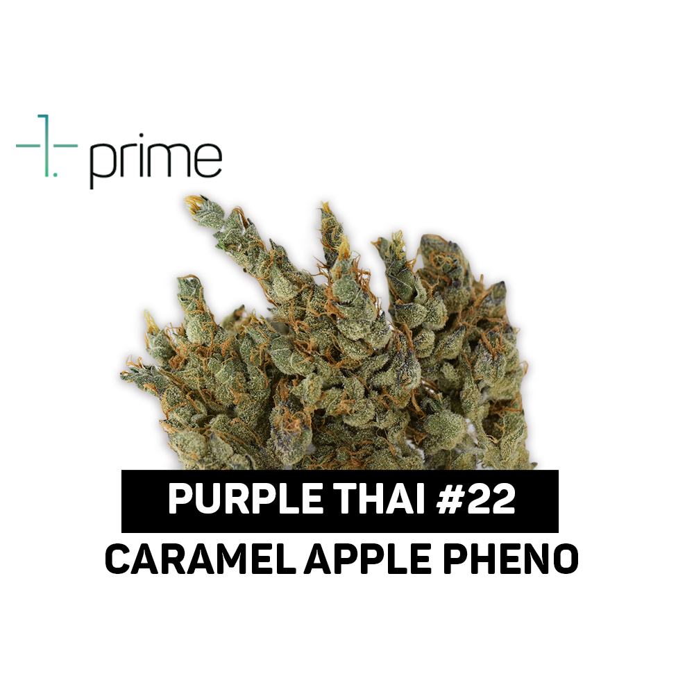 Purple Thai #22 Product Image