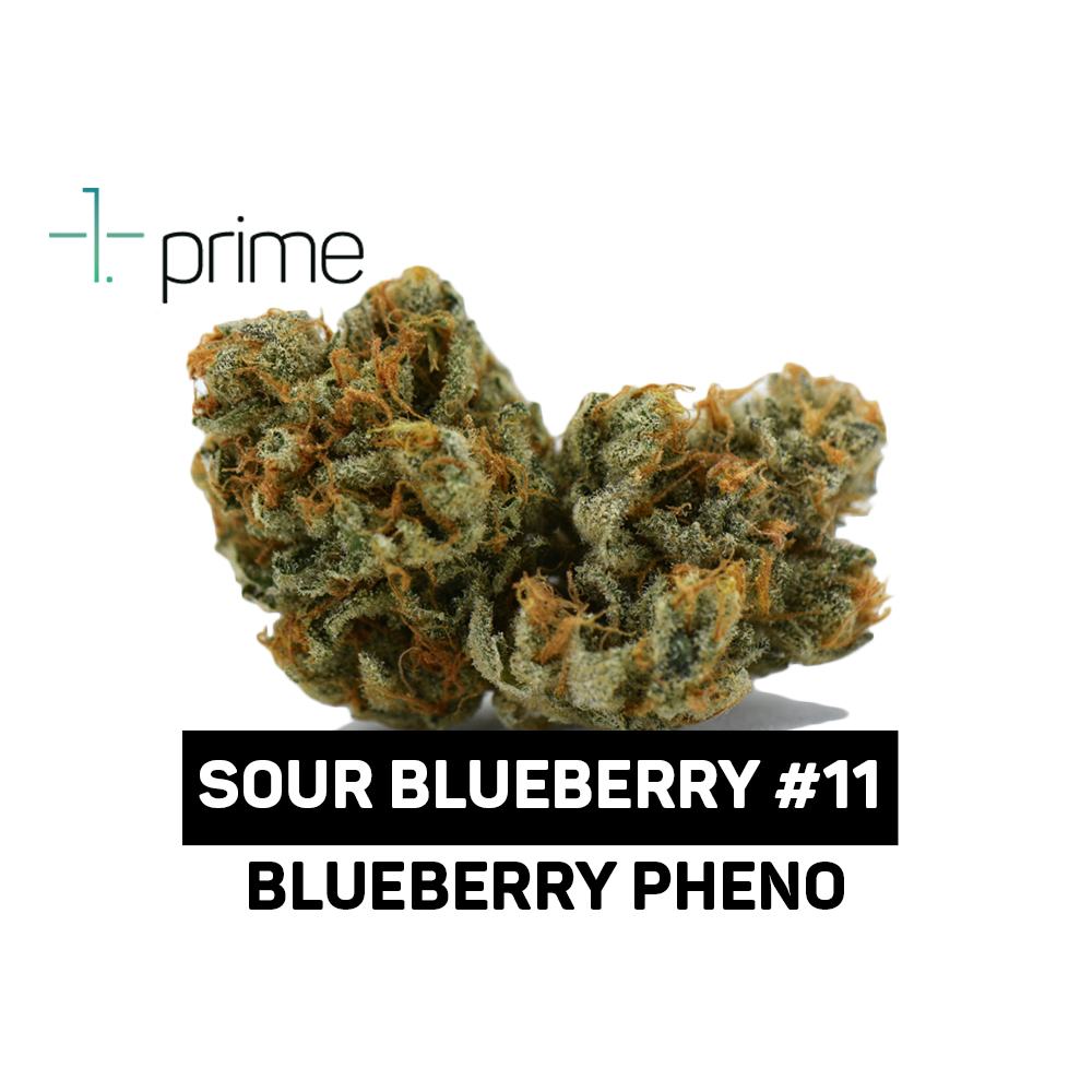 Sour Blueberry #11 Product Image