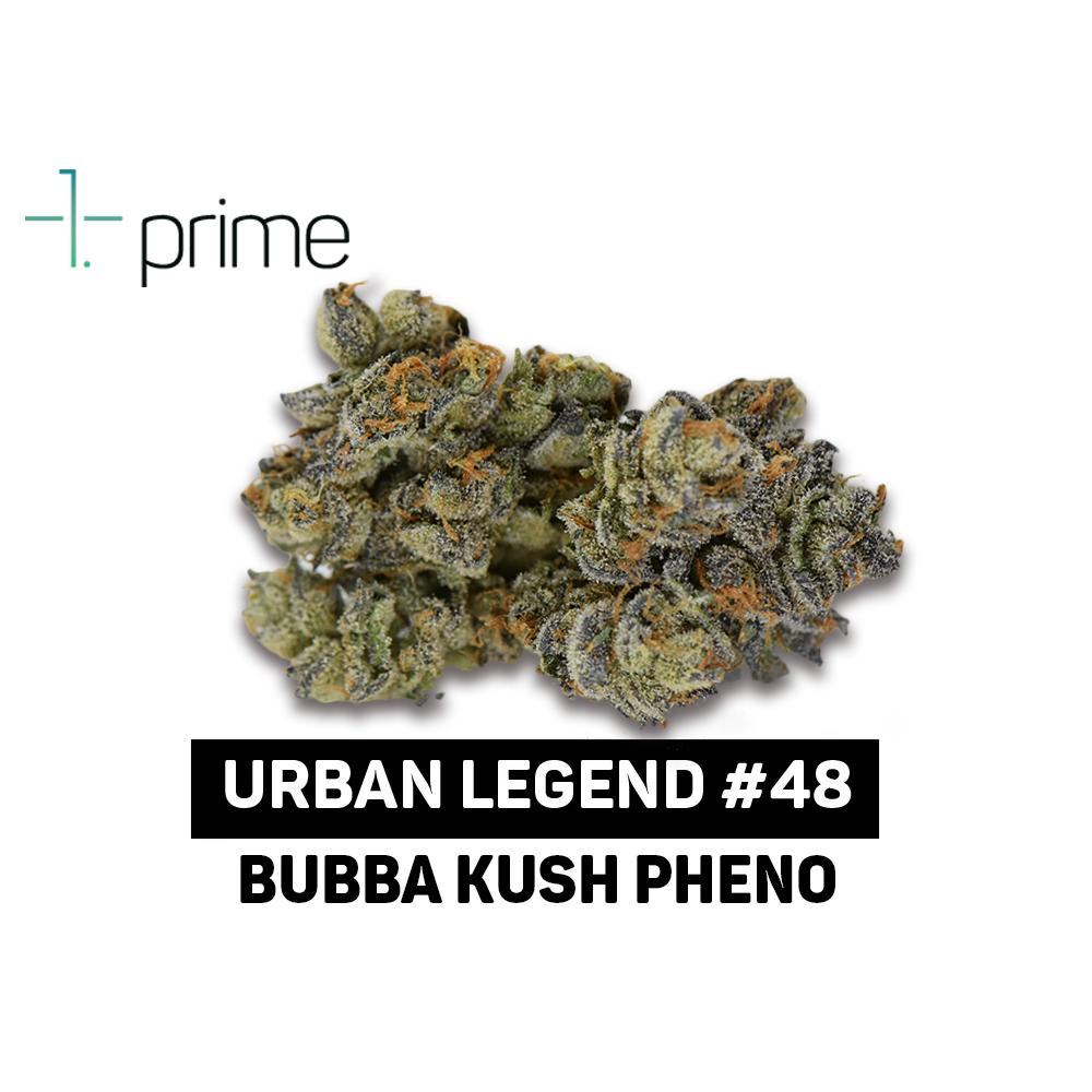 Urban Legend #48 Product Image