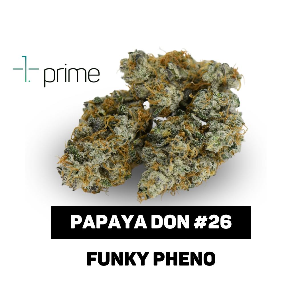 Papaya Don #26 Product Image