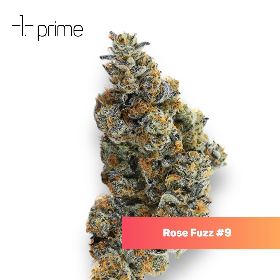 Rose Fuzz #9 Product Image
