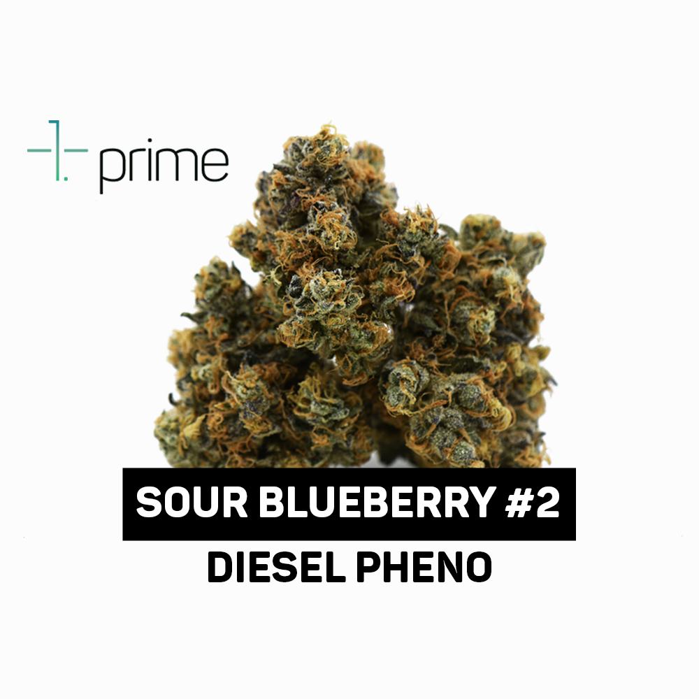 Sour Blueberry #2 Product Image