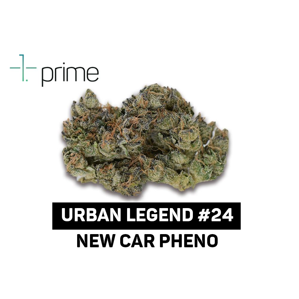 Urban Legend #24 Product Image
