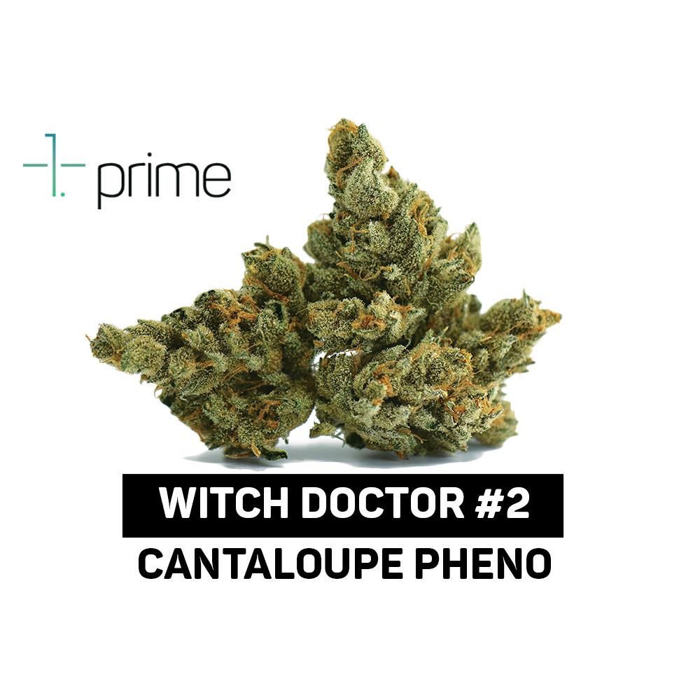 Witch Doctor #2 Product Image