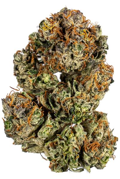 Primus - Hybrid Cannabis Strain