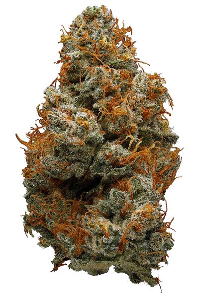 Professor Chaos - Híbrida Cannabis Strain