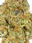 Prometheus Hybrid Cannabis Strain Thumbnail