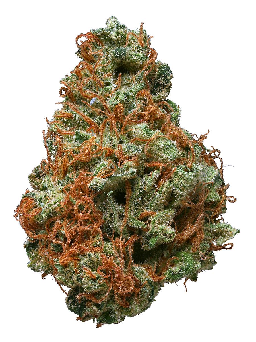 Pure Gold Strain Hybrid Cannabis Review Cbd Hytiva