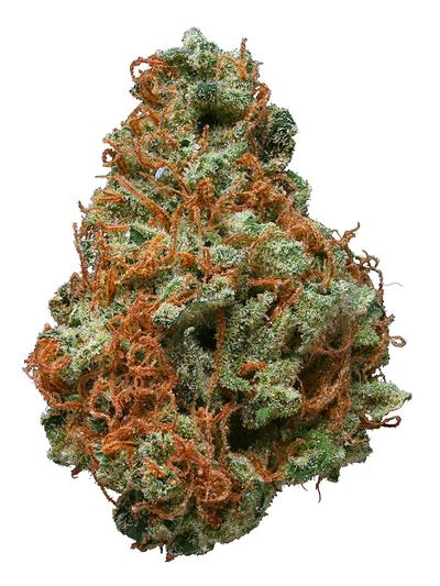 Pure Gold - Hybrid Cannabis Strain