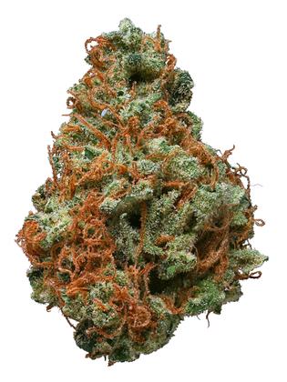 Pure Gold - Híbrida Cannabis Strain
