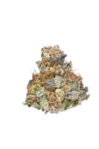 Pure Jack - Híbrida Cannabis Strain