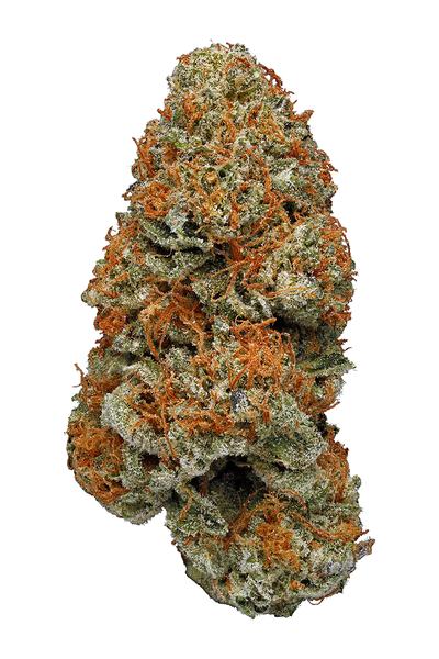 Purple Afghani - Hybrid Cannabis Strain