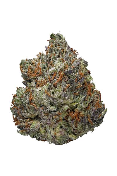 Purple Amnesia - Hybrid Cannabis Strain