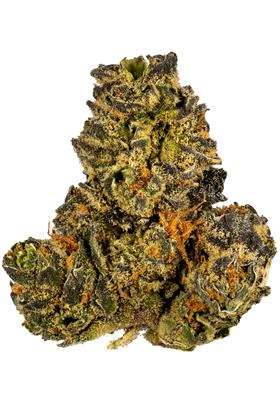 Purple Apricot - Hybrid Cannabis Strain