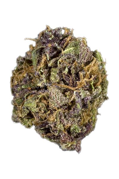 Purple Berry - Hybrid Cannabis Strain