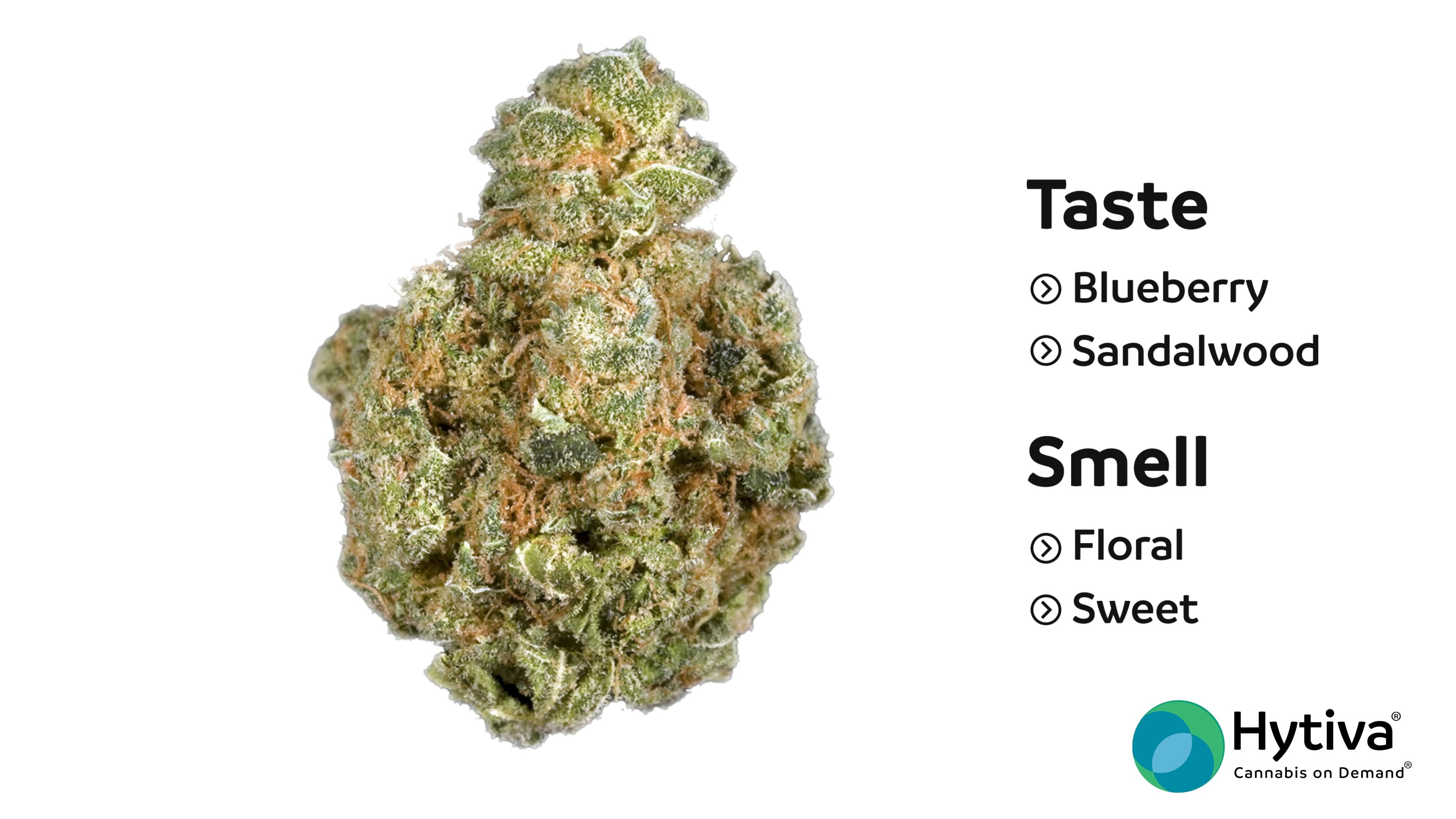 cannabis sativa buds