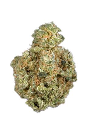 Purple Bud - Hybrid Cannabis Strain