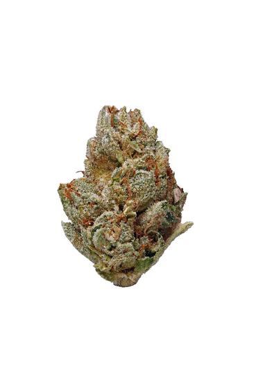 Purple Buddha - Indica Cannabis Strain