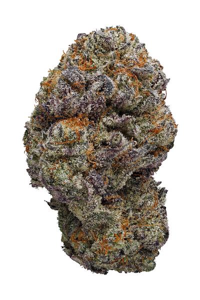 Purple Cadillac - Hybrid Cannabis Strain
