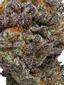 Purple Cadillac Hybrid Cannabis Strain Thumbnail