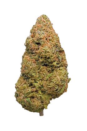Purple Cheese - Hybrid Cannabis Strain