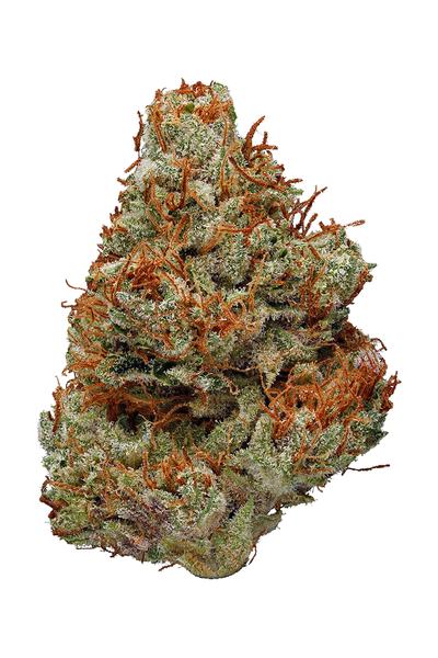Purple Coma - Hybrid Cannabis Strain