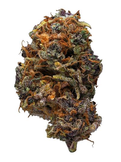 Purple Dawg - 混合物 Cannabis Strain