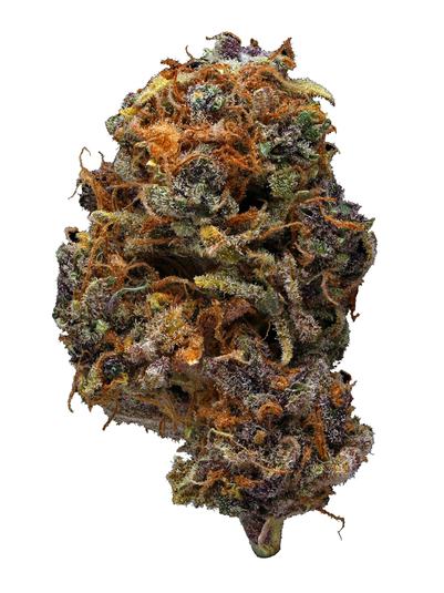 Purple Dawg - Híbrido Cannabis Strain