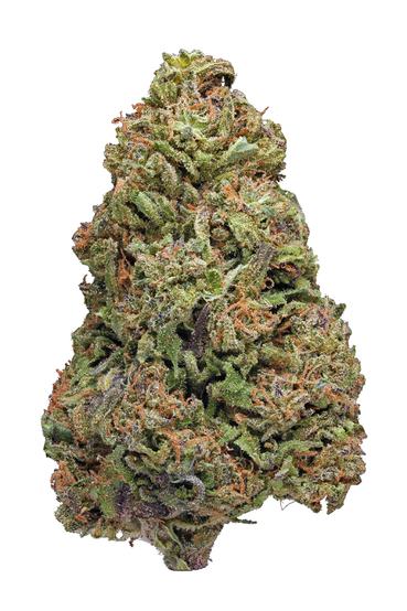 Purple Dragon - Indica Cannabis Strain