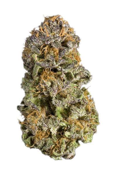 Purple Dream - Hybrid Cannabis Strain