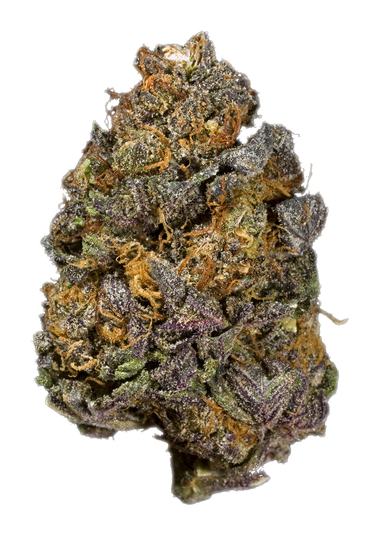 Purple Elephant - Hybrid Cannabis Strain