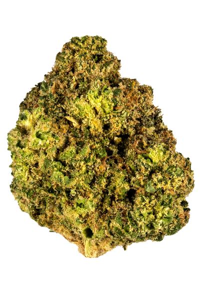 Purple Goat - Híbrida Cannabis Strain