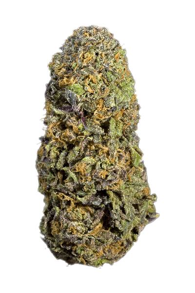 Purple Gorilla - Híbrida Cannabis Strain