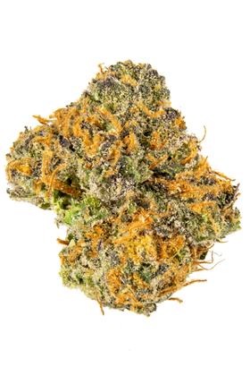 Purple Gusher - Hybrid Cannabis Strain