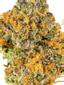 Purple Gusher Hybrid Cannabis Strain Thumbnail