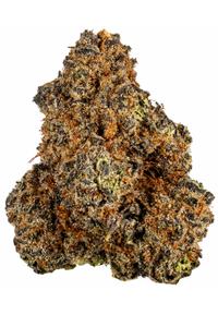 Purple Haze - Hybrid Cannabis Strain