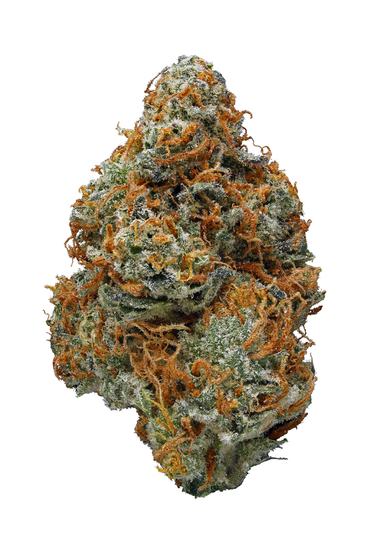 Purple Jack - Hybrid Cannabis Strain