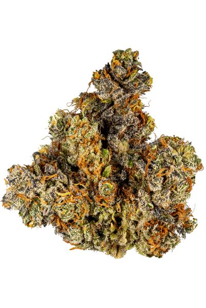 Purple Lamborghini - Hybrid Cannabis Strain