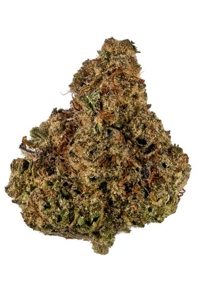 Purple Monkey - Indica Cannabis Strain