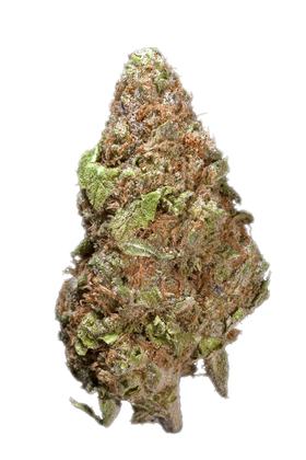 Purple Nepal - Hybrid Cannabis Strain