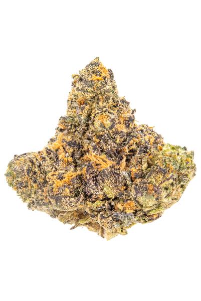 Purple Octane - Híbrida Cannabis Strain