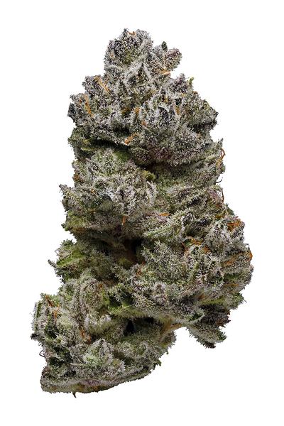 Purple Platinum - Hybrid Cannabis Strain
