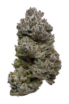 Purple Platinum - Hybrid Cannabis Strain