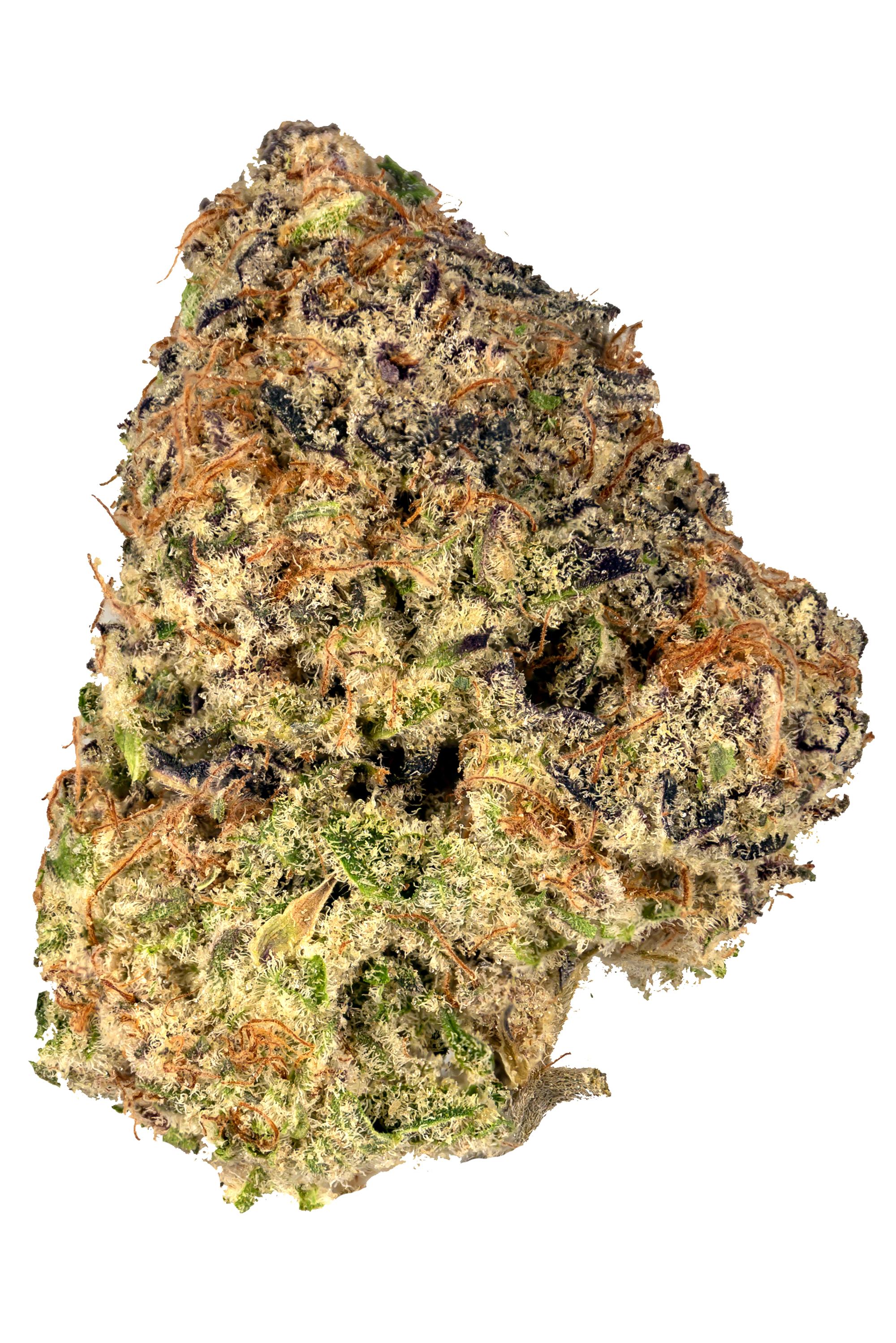 Purple Punch - Indica Cannabis Strain