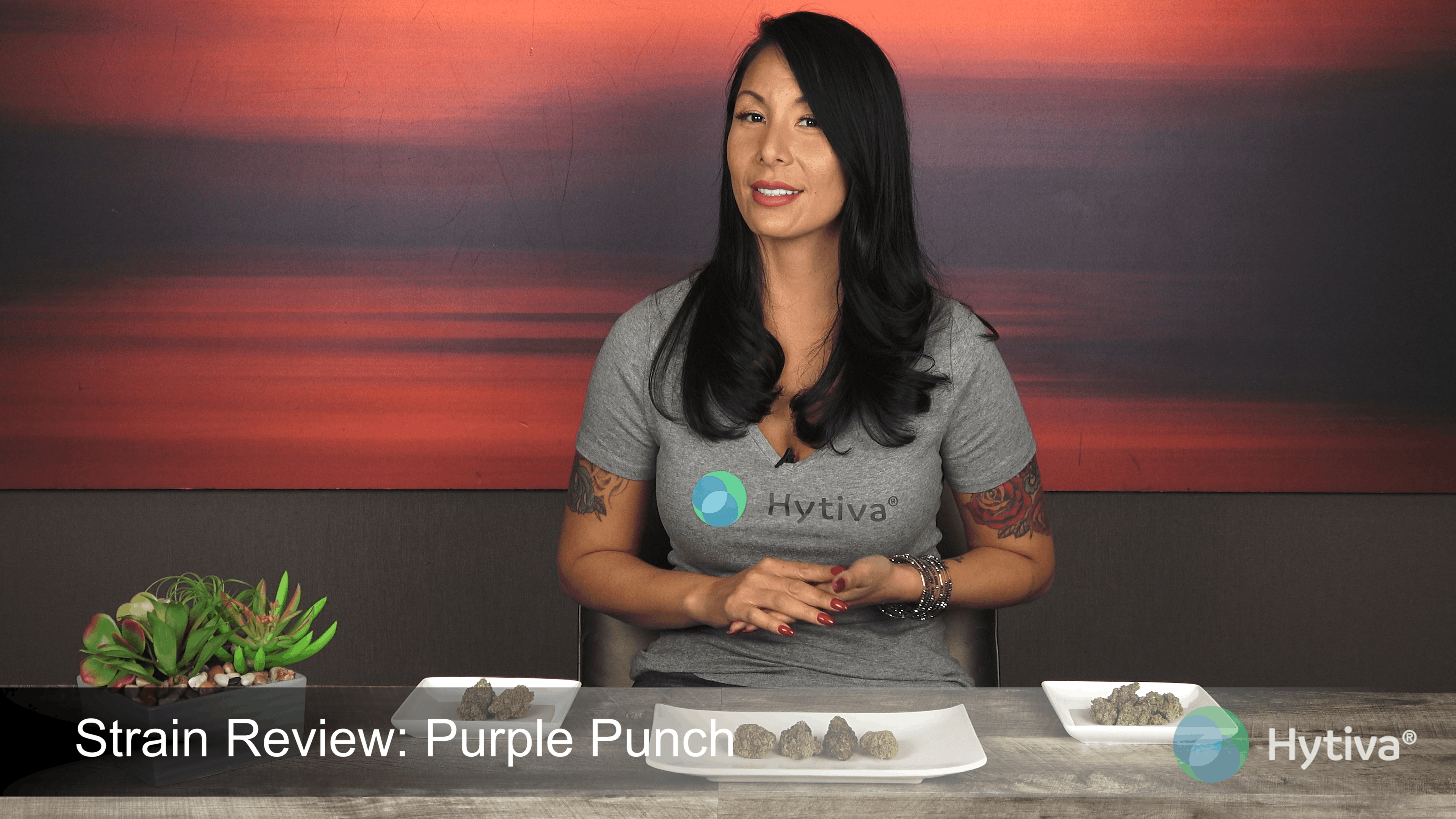 Purple Punch Strain Indica Cannabis Video Thc Terpenes Hytiva