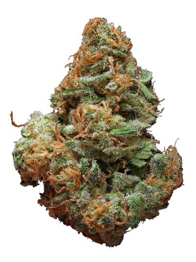 Purple Sage - Hybrid Cannabis Strain