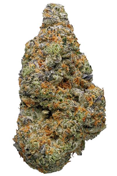 Purple Snow - Hybrid Cannabis Strain